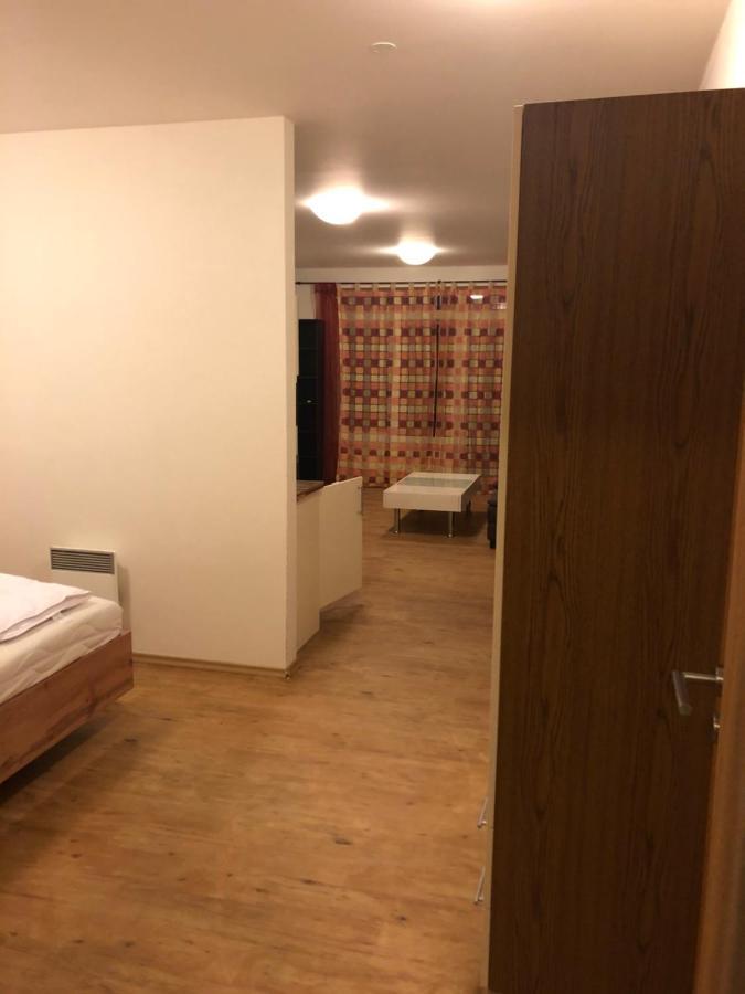 L&B Lake View Modern Apartment Lipno nad Vltavou Zewnętrze zdjęcie